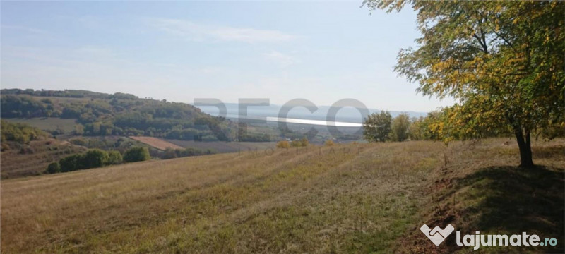 Reco Teren extravilan Tileagd 