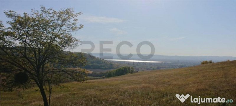 Reco Teren extravilan Tileagd 