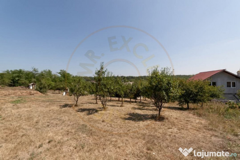 Casa Podul Broșteni- Arges!