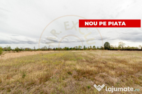 Teren intravilan 3000 mp, Oarja, Arges – amplasament excel