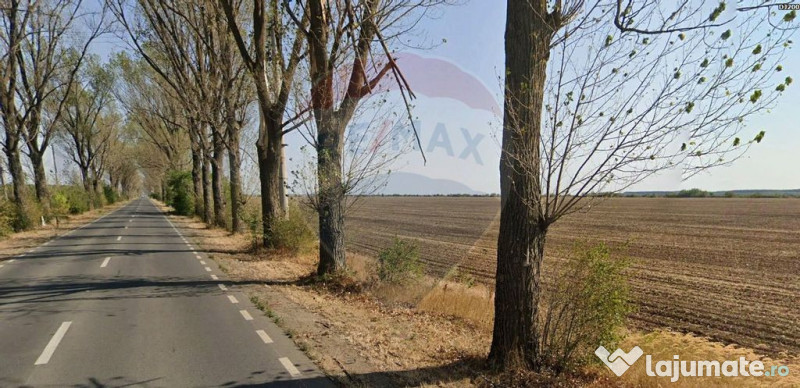Teren intravilan 7.9 ha, Afumati, deschidere 120m, Soseau...