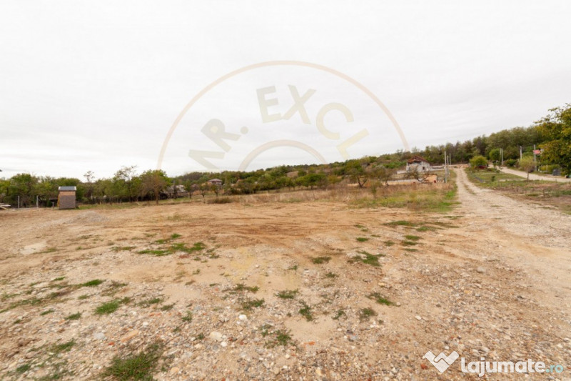 0% Comision!! TEREN INTRAVILAN - ARGESELU !! 