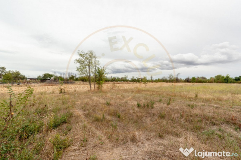 Teren intravilan Oarja 