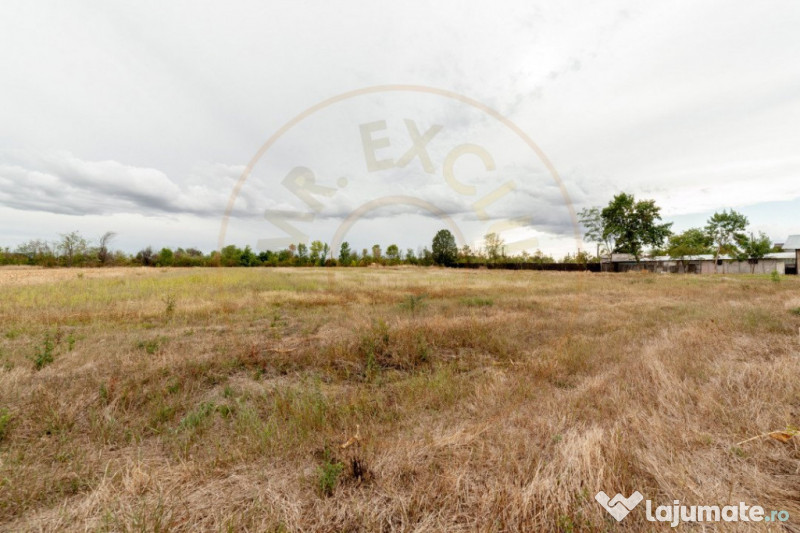 Teren intravilan Oarja 