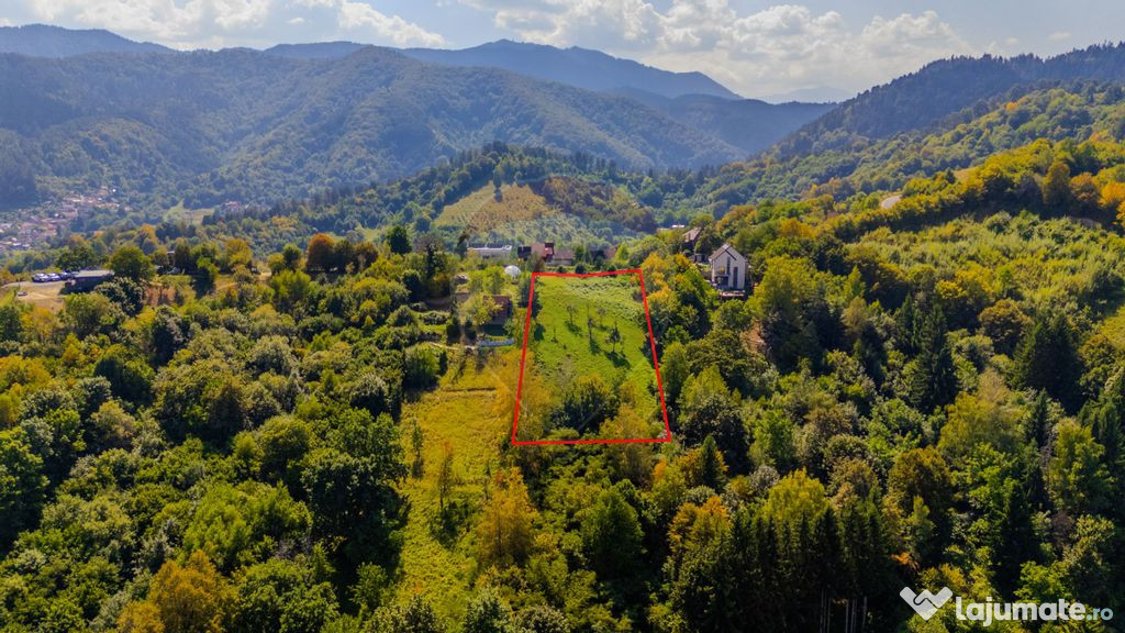 COMISION 0% Teren 2700mp / Strada Coltul Putinarilor/Poia...