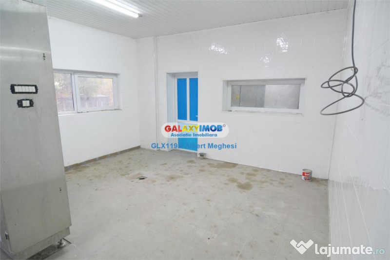 / spatiu productie alimentara P-ta Delfinului 