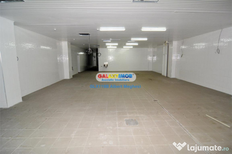 / spatiu productie alimentara P-ta Delfinului 