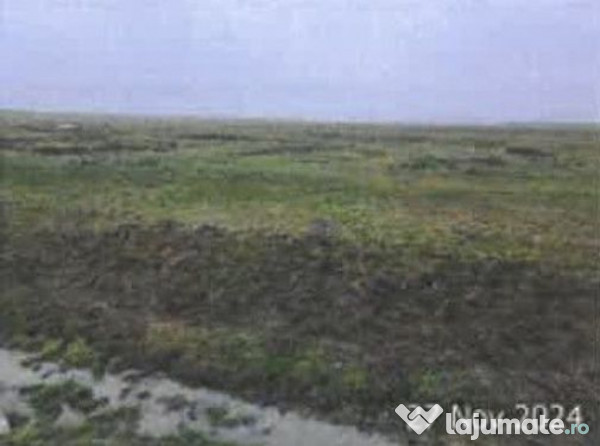 Teren pasune Luciu, cota parte 10000/407492 ; ID: R2766691 