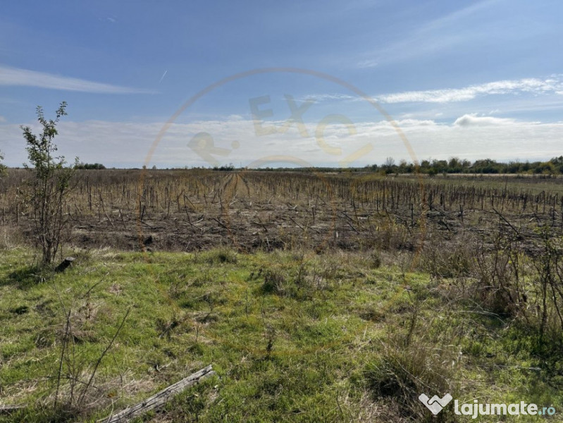 Teren 5216 mp la drum principal com. Ratesti 