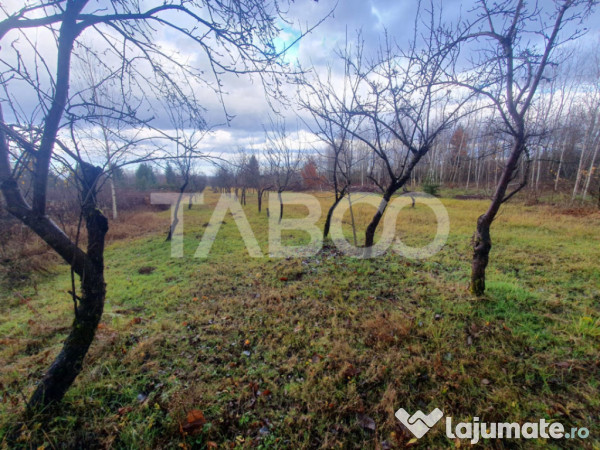 Teren extravilan 1000 mp Statiunea Climaterica Sambata de Su
