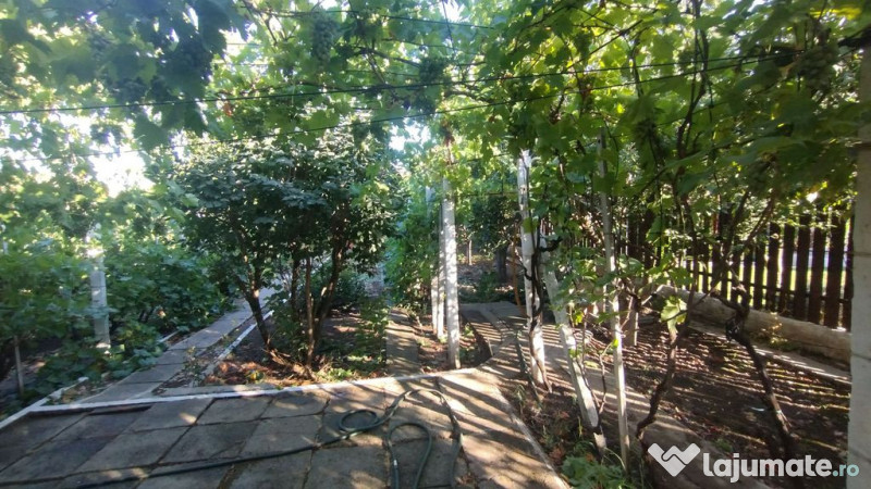 Casă, gradină, teren mare - Palazu Mare