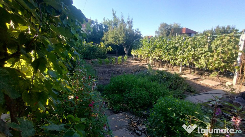 Casă, gradină, teren mare - Palazu Mare