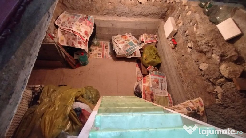 Casă, gradină, teren mare - Palazu Mare