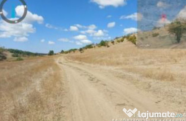 Teren extravilan Loc. Bucovat sat Sarbatoarea, jud. Dolj