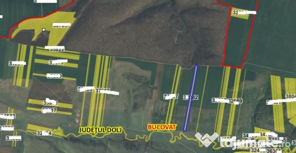 Teren extravilan Loc. Bucovat sat Sarbatoarea, jud. Dolj