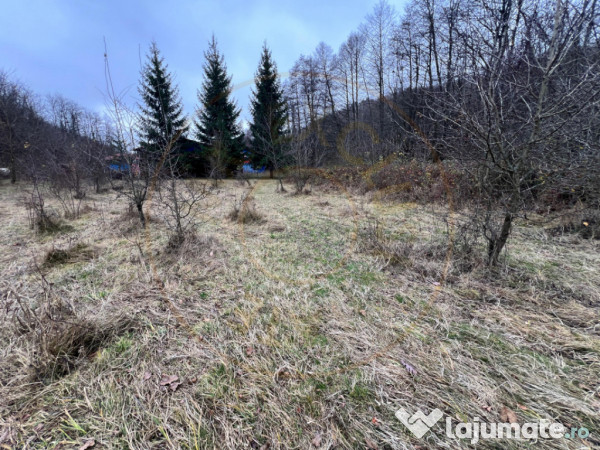 Teren intravilan 6.500 m²–Deschidere 144 ml drum european 