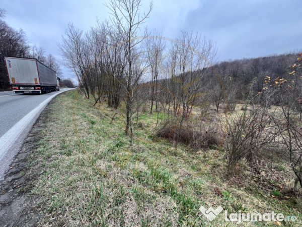 Teren intravilan 6.500 m²–Deschidere 144 ml drum european 