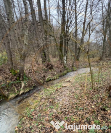 Teren intravilan 6.500 m²–Deschidere 144 ml drum european 