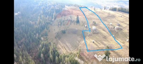 Teren INTRAVILAN 23.238m.p. Dorna-Arini / Cozănești 