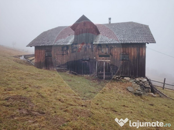 Teren INTRAVILAN 23.238m.p. Dorna-Arini / Cozănești 