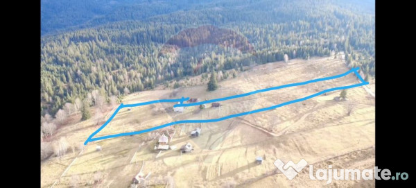 Teren INTRAVILAN 23.238m.p. Dorna-Arini / Cozănești 