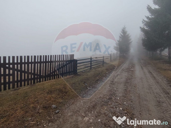 Teren INTRAVILAN 23.238m.p. Dorna-Arini / Cozănești 