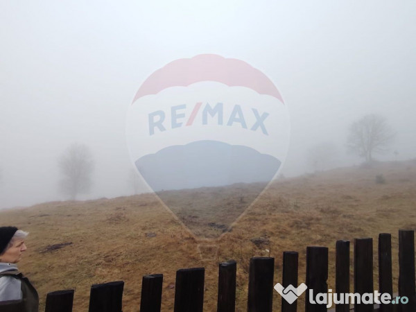 Teren INTRAVILAN 23.238m.p. Dorna-Arini / Cozănești 