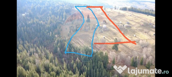 Teren INTRAVILAN 23.238m.p. Dorna-Arini / Cozănești 