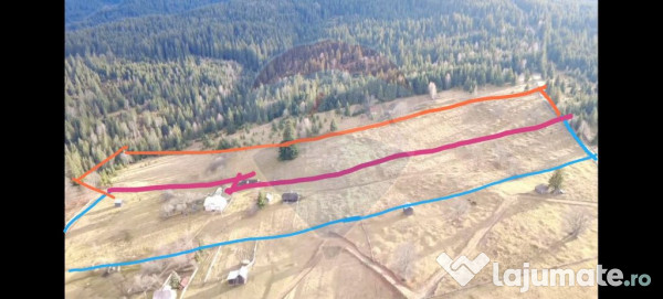 Teren INTRAVILAN 23.238m.p. Dorna-Arini / Cozănești 