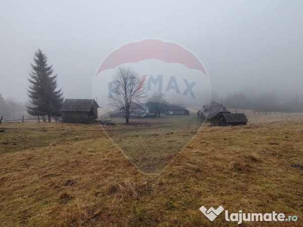 Teren INTRAVILAN 23.238m.p. Dorna-Arini / Cozănești 