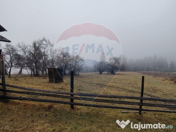 Teren INTRAVILAN 23.238m.p. Dorna-Arini / Cozănești 