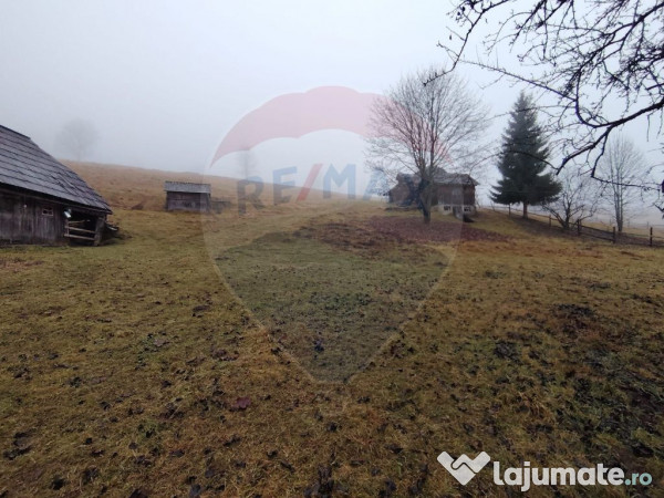 Teren INTRAVILAN 23.238m.p. Dorna-Arini / Cozănești 