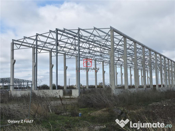 Depozit/hala/spatiu industrial Mogosoaia - Buftea 