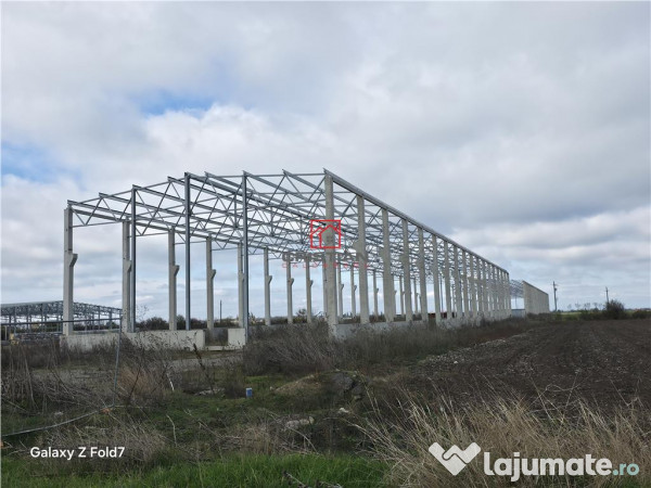 Depozit/hala/spatiu industrial Mogosoaia - Buftea 