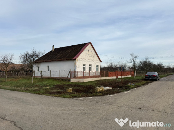 Casa în Firiteaz, 24 km de Arad, 2878 mp 