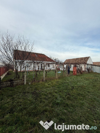 Casa în Firiteaz, 24 km de Arad, 2878 mp 