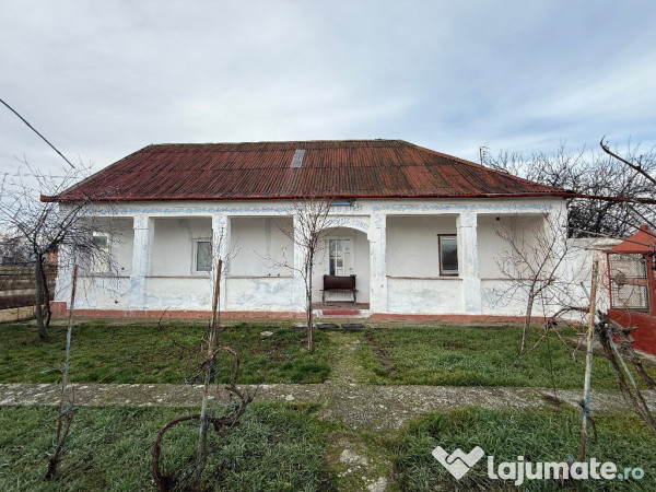 Casa în Firiteaz, 24 km de Arad, 2878 mp 