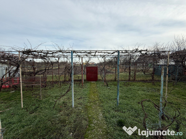 Casa în Firiteaz, 24 km de Arad, 2878 mp 