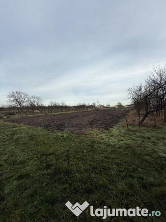 Casa în Firiteaz, 24 km de Arad, 2878 mp 