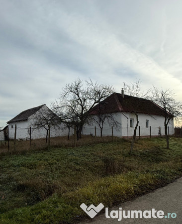 Casa în Firiteaz, 24 km de Arad, 2878 mp 
