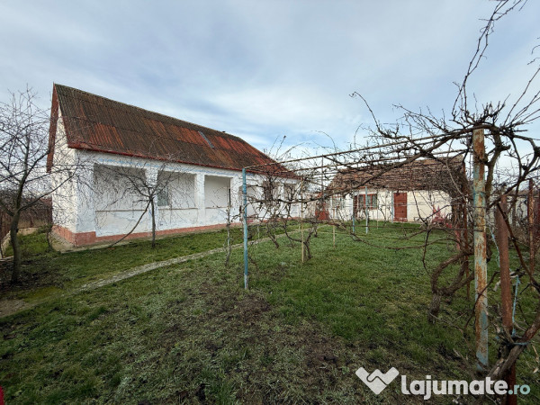 Casa în Firiteaz, 24 km de Arad, 2878 mp 