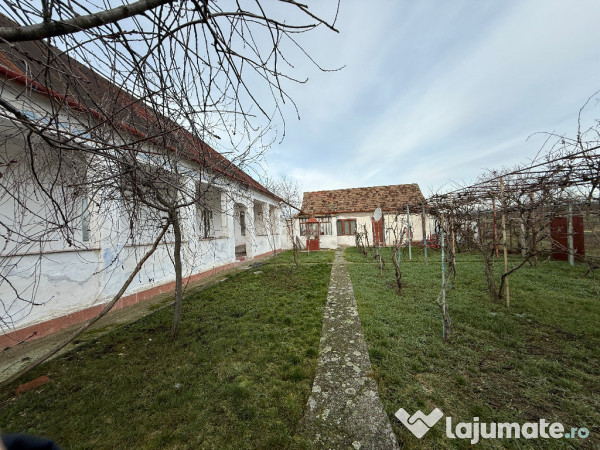 Casa în Firiteaz, 24 km de Arad, 2878 mp 