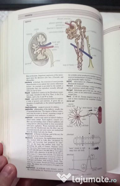 Enciclopedia concisă Hutchinson, 1989, 1026 pag. 