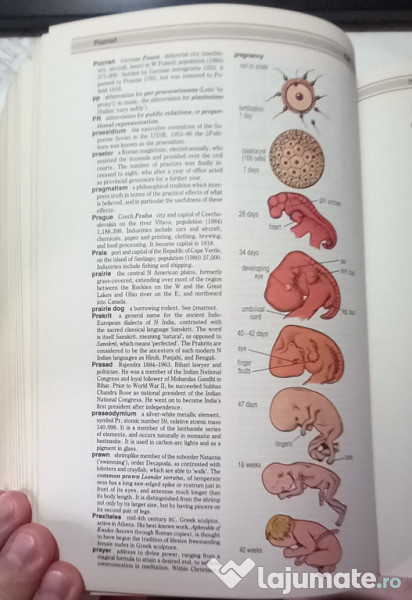 Enciclopedia concisă Hutchinson, 1989, 1026 pag. 