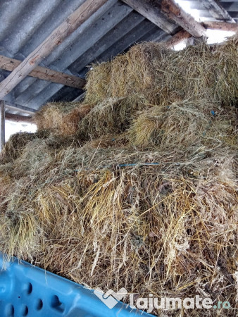 Baloți de fân buni 