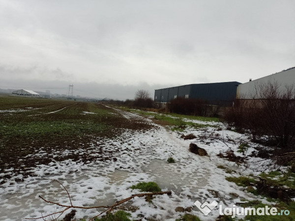 Oraș Popești-Leordeni, teren, zona industriala cu utilitati!