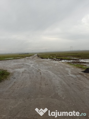 Oraș Popești-Leordeni, teren, zona industriala cu utilitati!