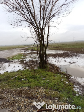 Oraș Popești-Leordeni, teren, zona industriala cu utilitati!