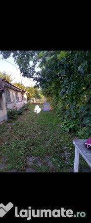 Casa batraneasca nelocuibila cu teren 730mp Olari, Prahova 