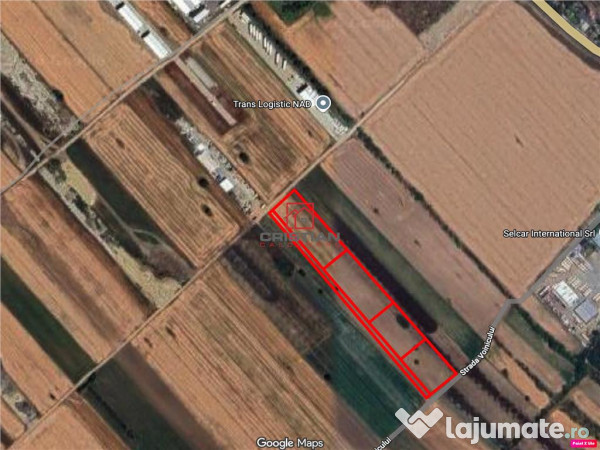 Teren Magurele - Varteju - Centura, ILFOV